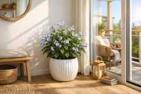 Blahoker ugandský: Modrý motýľ, ktorý si zamilujete na prvý pohľad