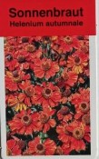 Trvalka Helenium autumnale - Záplevák podzimní